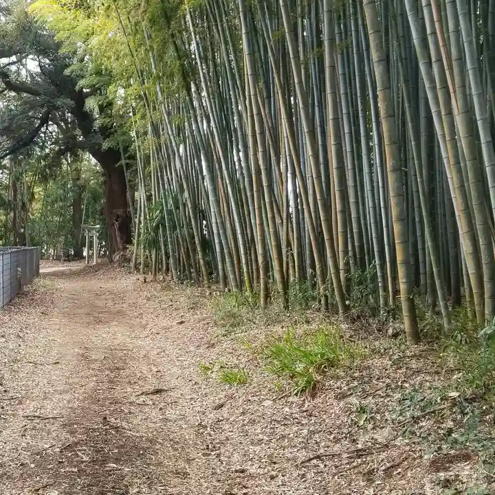八幡神社の周辺