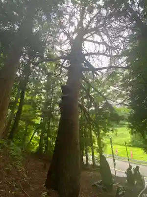 月山神社(岩手県)