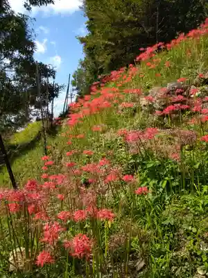 仏隆寺(奈良県)