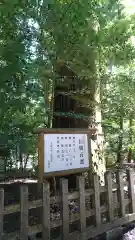 高千穂神社の自然