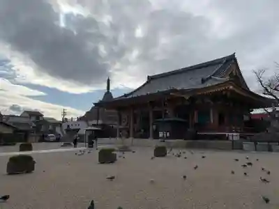 壬生寺の本殿・本堂