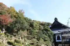 西福寺の景色