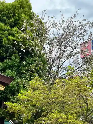 三輪神社(愛知県)