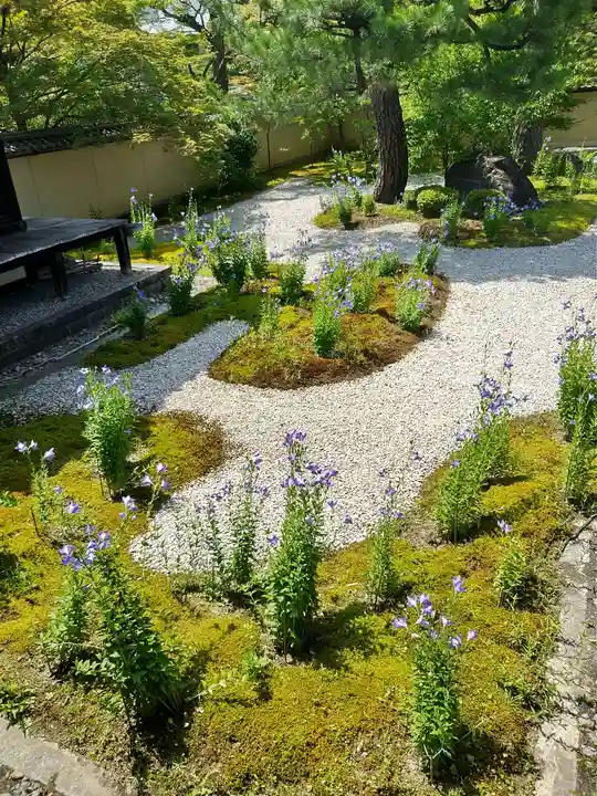廬山寺(廬山天台講寺)(京都府)
