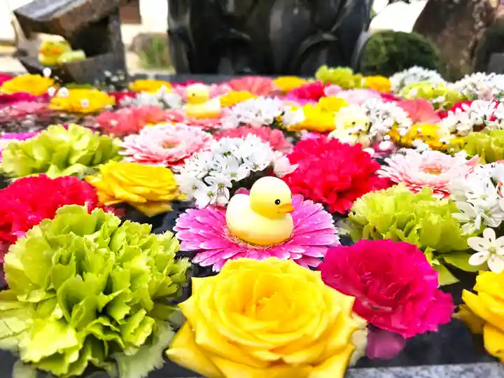 多聞寺の手水舎