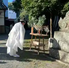 大山祇神社(三重県)