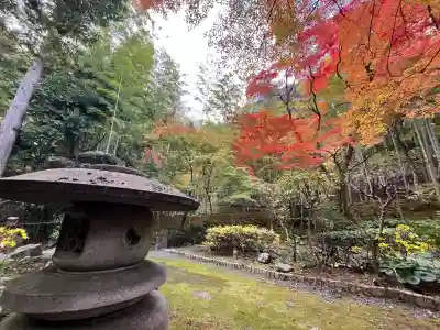 真珠院(神峯山寺塔頭)(大阪府)