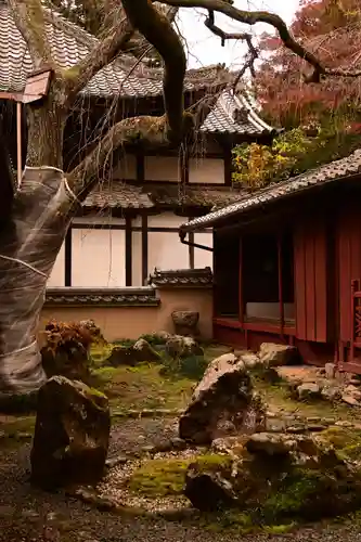 十輪寺(京都府)