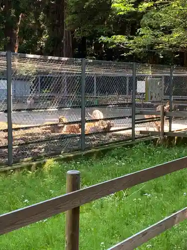 鹿島神宮(茨城県)