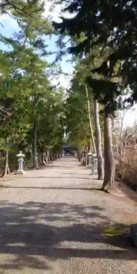 志那神社(滋賀県)