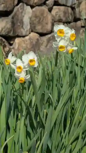 惠心院（恵心院）(京都府)