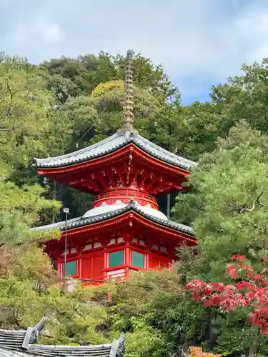 今熊野観音寺(京都府)