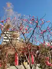 成子天神社の自然