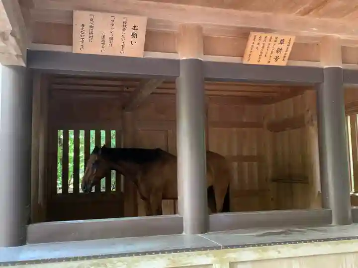 伊勢神宮内宮(皇大神宮)(三重県)