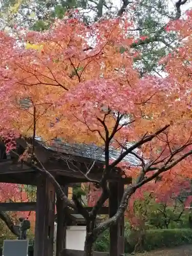 薬王寺の山門・神門