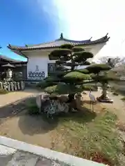 宝持院の庭園