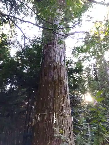 江文神社(京都府)
