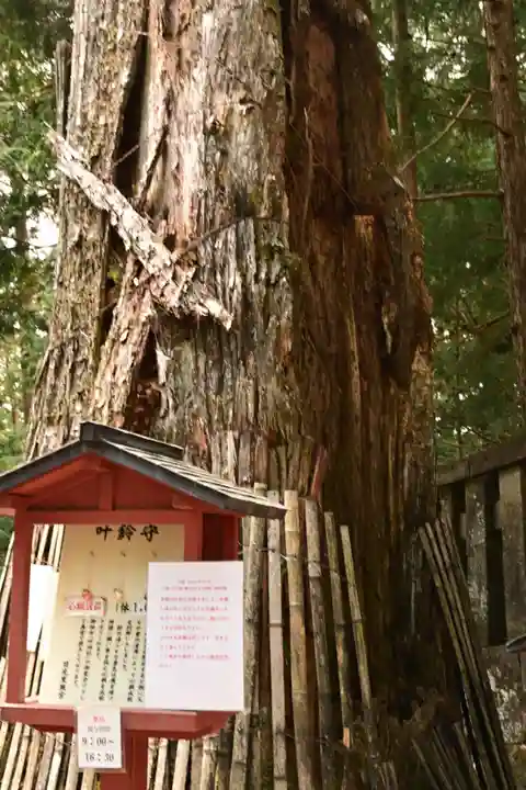 日光東照宮奥宮拝殿(栃木県)