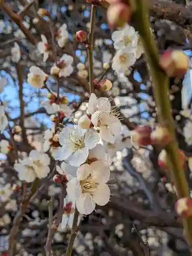 熊野神社(東京都)