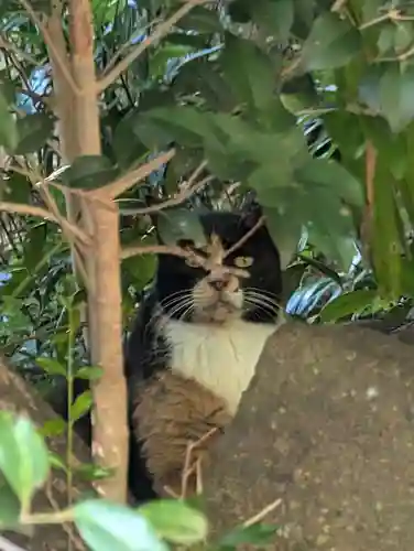春日神社(神奈川県)