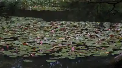 平安神宮(京都府)