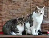 阿邪訶根神社(福島県)