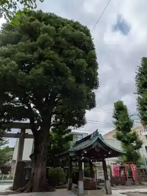 麻布氷川神社(東京都)