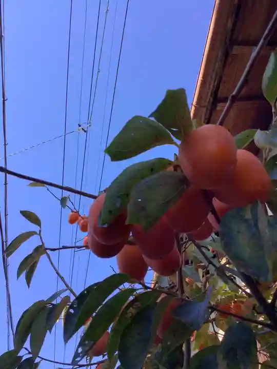 津島神社の周辺