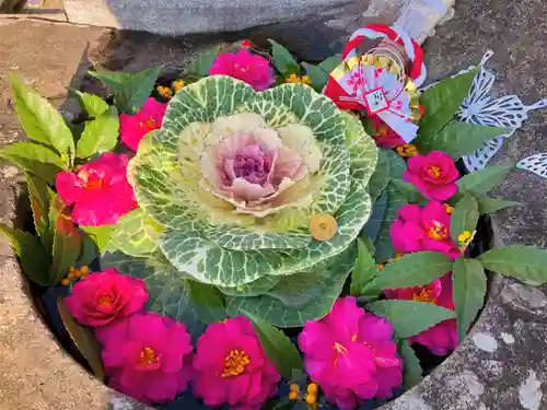 真言宗　善通寺派　薬王寺(香川県)