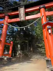 新倉富士浅間神社(山梨県)