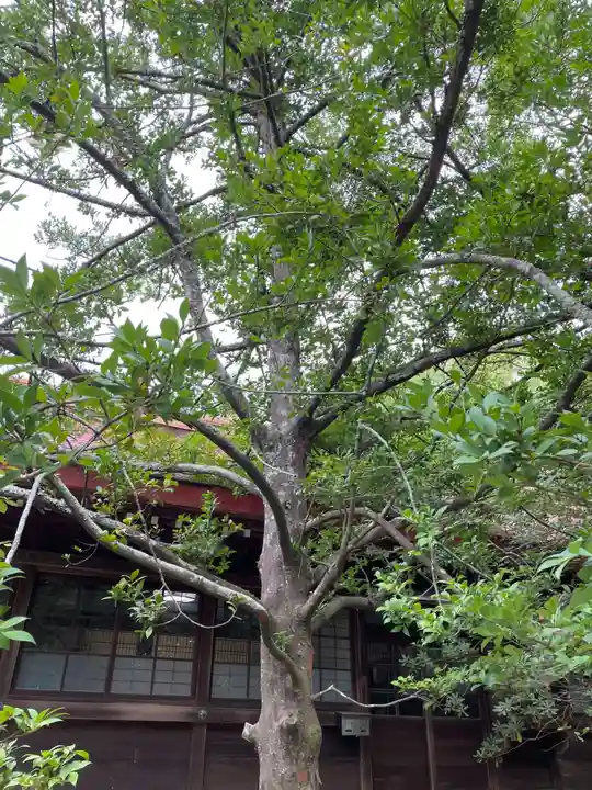 阿波神社(徳島県)