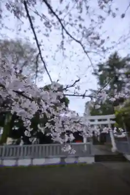 今泉神社(神奈川県)