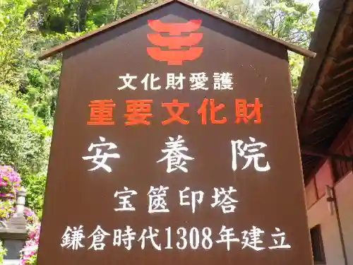 安養院　(田代寺）の歴史