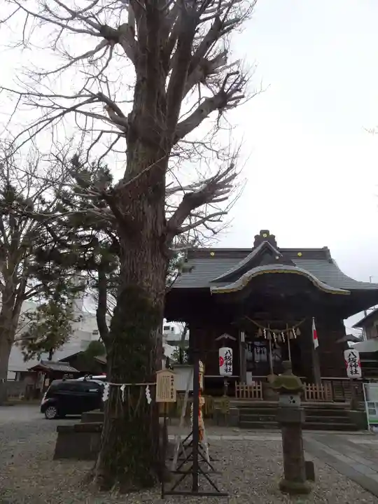 取手八坂神社の本殿・本堂