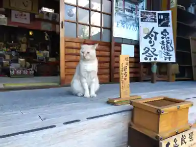 宗龍寺(愛知県)