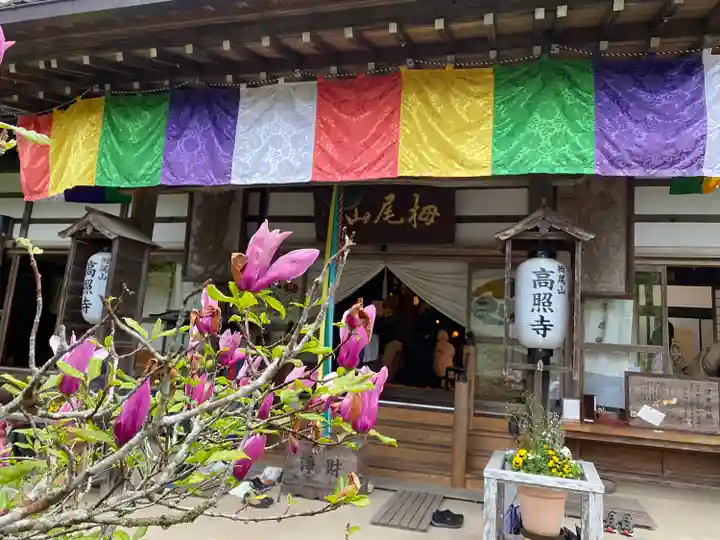 高照寺の本殿・本堂