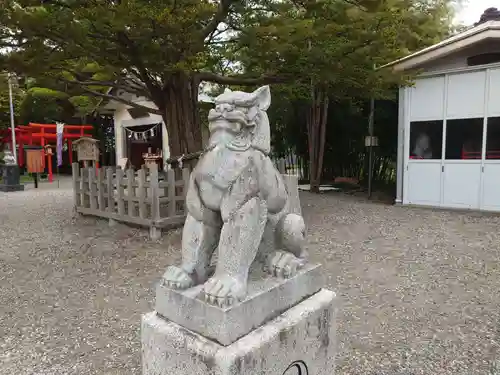 湯倉神社の狛犬