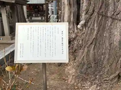 飛木稲荷神社(東京都)