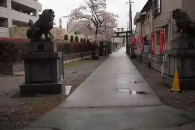 穴切大神社の狛犬