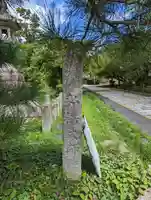 神光院(京都府)