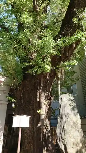 品川寺のその他建物