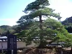 種間寺の自然