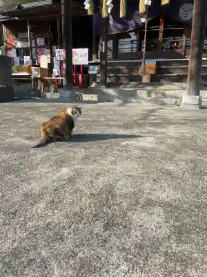 賀茂別雷神社の{uncategorized: "未分類", other: "その他", undefined: "問題あり", building: "その他建物", grave: "お墓", sacred_gate: "鳥居", guardian: "狛犬", statue: "像", buddha: "仏像", history: "歴史", nature: "自然", garden: "庭園", animal: "動物", pagoda: "塔", temizu: "手水舎", mountain_gate: "山門・神門", sanctuary: "本殿・本堂", subordinate: "末社・摂社", art: "芸術", scenery: "景色", jizo: "地蔵", ema: "絵馬", goshuin: "御朱印", omikuji: "おみくじ", items: "授与品その他", amulet: "お守り", goshuincho: "御朱印帳", eats: "食事", festival: "お祭り", votive_dance: "神楽", shichigosan: "七五三参", wedding: "結婚式", experience: "体験その他", initially: "初詣", around: "周辺", anti_infection: "感染症対策"}