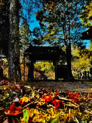 安国寺(京都府)
