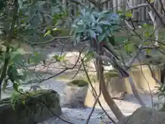 孫太郎稲荷神社（薬師寺境内社）の自然