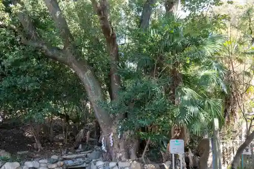 安居神社の庭園