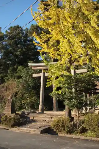 六所神社の鳥居