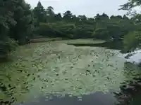 龍安寺のその他建物