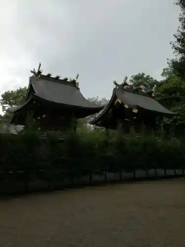 鷲宮神社の本殿