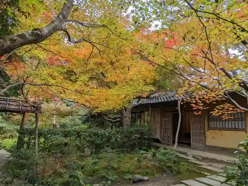 厭離庵の庭園